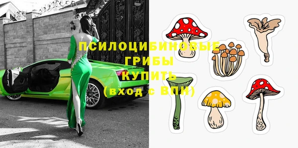 амф Алзамай