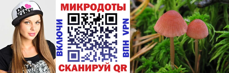 Псилоцибиновые грибы прущие грибы  где можно купить наркотик  Новороссийск 