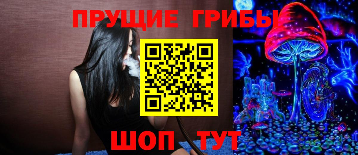 Псилоцибиновые грибы мухоморы Новороссийск